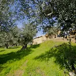 Xisto Sentido Agroturismo Martim Branco