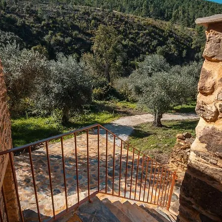 Gospodarstwo agroturystyczne Xisto Sentido Martim Branco