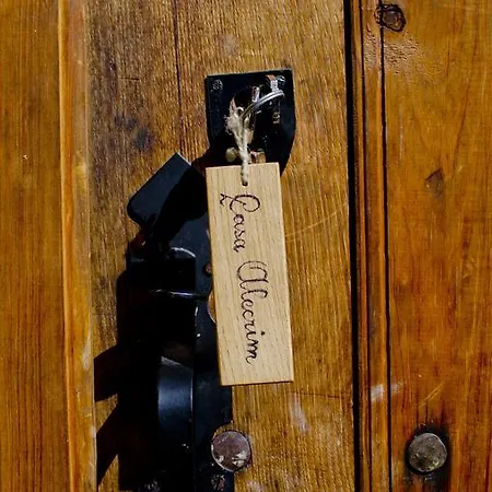 Xisto Sentido Martim Branco