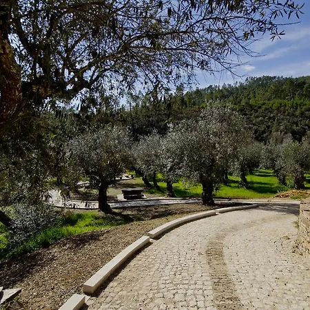 Xisto Sentido 农家乐 Martim Branco