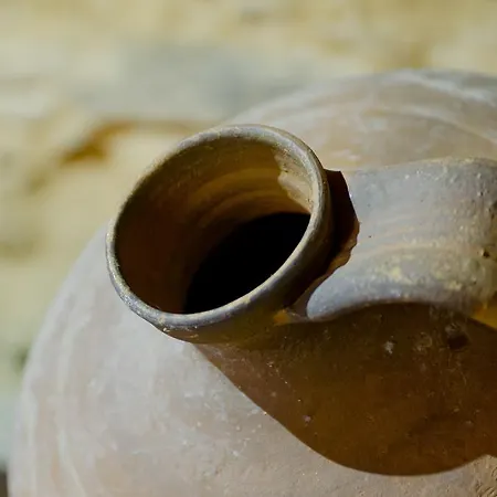 Xisto Sentido 农家乐 Martim Branco